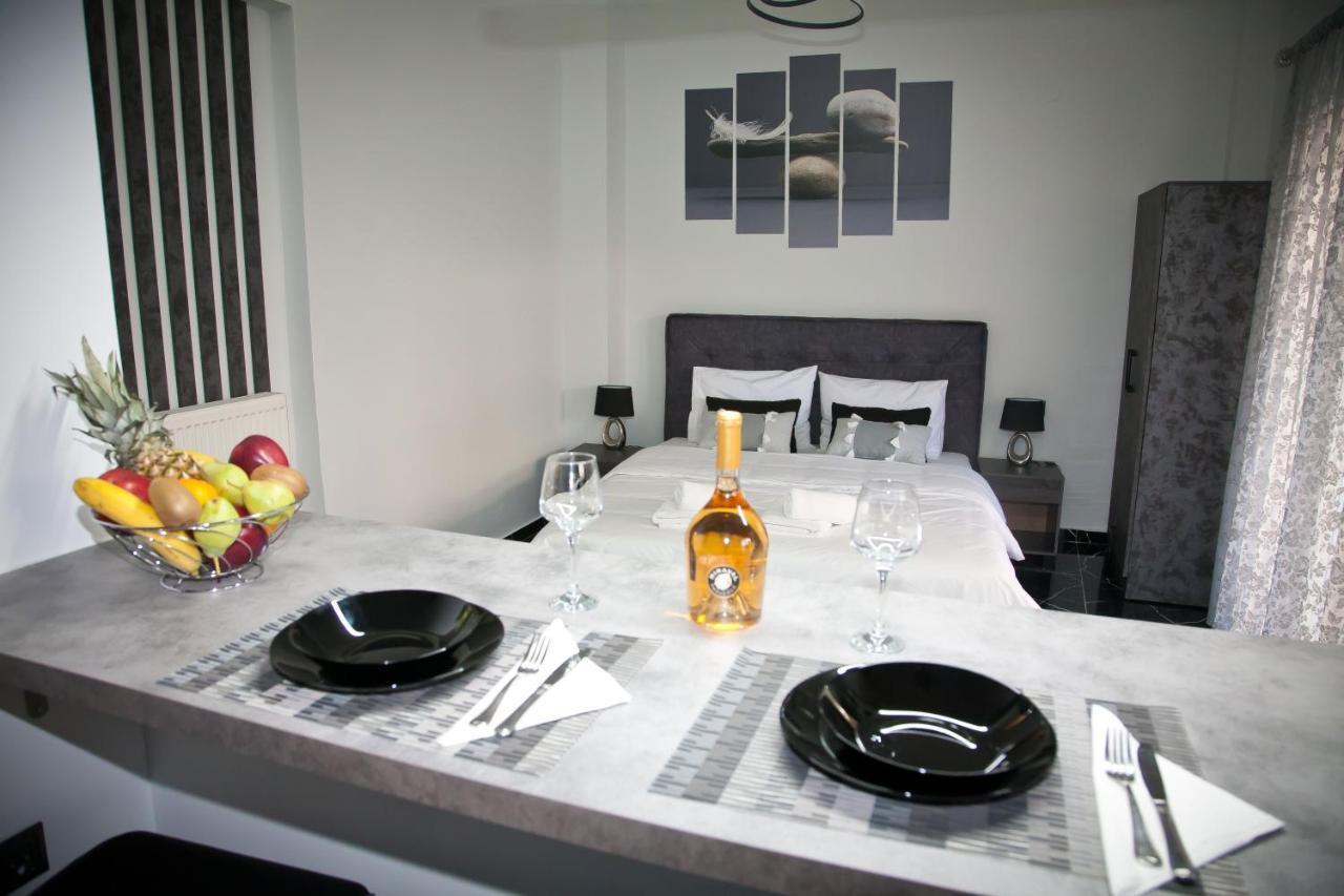 Chris Luxury Apartment Ioannina